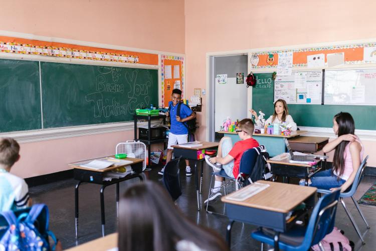 School types Netherlands